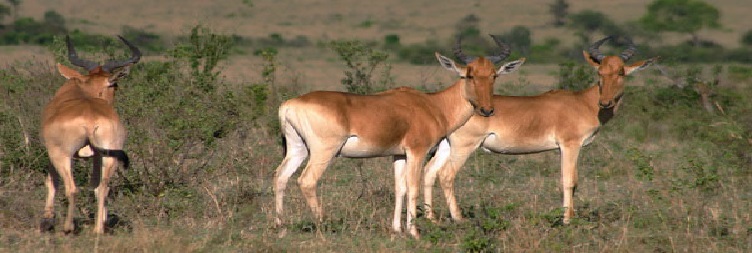 Hells Gate National Park Exploration