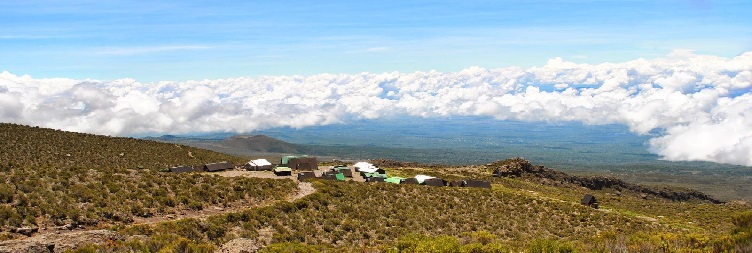 Mandara Huts to Horombo Huts
