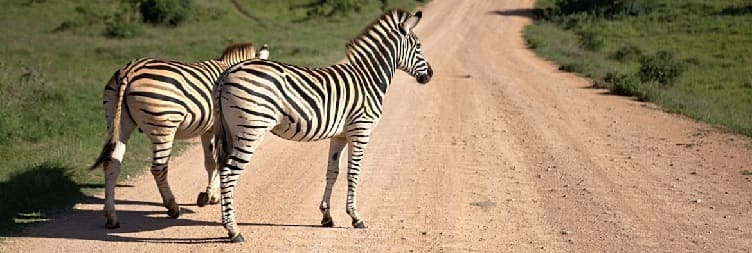 South Horr to Maralal