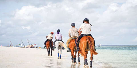 Ziara ya Kuendesha Farasi Binafsi ya Nusu ya Siku kutoka Michamvi huko Zanzibar (2026 - 2027)