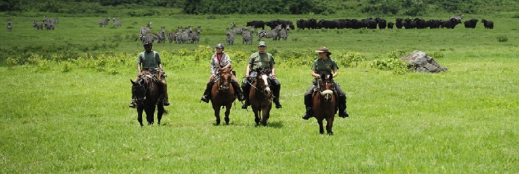 އަސް ދުއްވުމުގެ ދަތުރެވެ