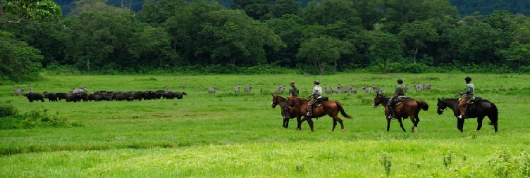 ಕುದುರೆ ಸವಾರಿ ಪ್ರವಾಸ