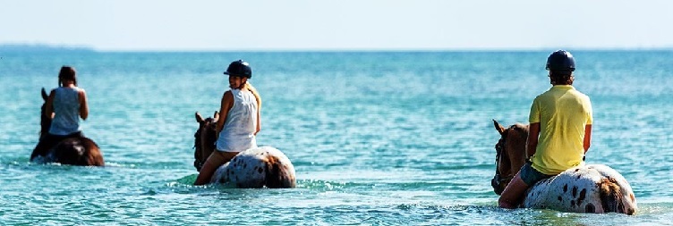 ಕುದುರೆ ಸವಾರಿ ಪ್ರವಾಸ