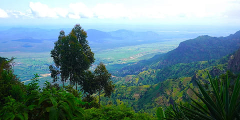 Turas Lae Feirme Príobháideach Irente ó Moshi, An Tansáin (2026 - 2027)