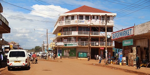 19 dies de safari de primats i vida salvatge de rang mitjà a Uganda (2026-2027)