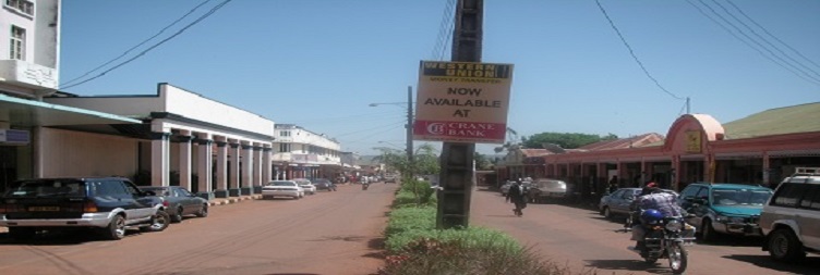 Jinja (Zip-lining & Mabira Forest Walk)