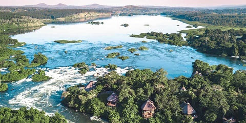 19 dagars privat mellanklass primatsafari från Kampala i Uganda (2026 - 2027)