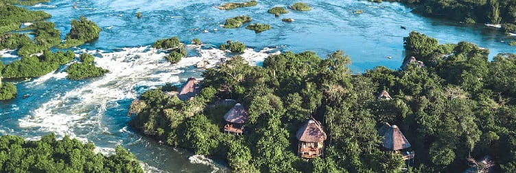 Jinja – Zip-lining & Forest Nature Walk