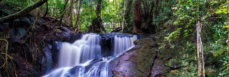 From Nairobi to Karura Forest