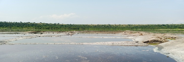 Kasenyi Plains & Return to Kampala then transfer to Entebbe Airport