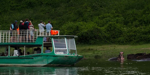 Dvodnevni grupni safari srednje klase iz Entebbea u Ugandi (2026. - 2027.)