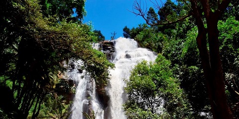 Excursion privée d'une journée dans une cascade moderne au départ de Moshi, Tanzanie (2026 - 2027)