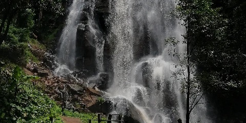 1-dnevni izlet do slapov Kisasa v Lushoto, Tanga iz Dar Es Salaama v Tanzaniji (2026 - 2027)