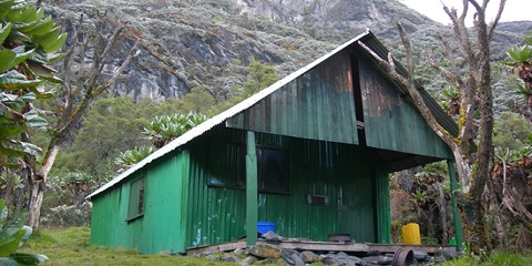 6-Day Private Budget Rwenzori Trekking Tour from Kampala, Uganda, Africa Before AFCON 2027