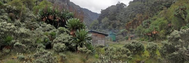 Kitandara Hut to Guy Yeoman Hut