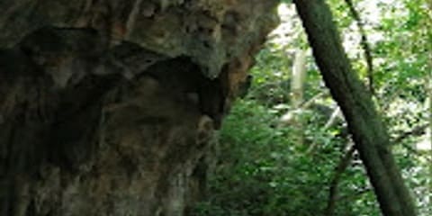 Half-Day Private Kiwengwa Caves Tour from Nungwi in Zanzibar (2026 - 2027)