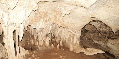 ザンジバル島ピングウェ発キウェンワ洞窟半日プライベート ツアー (2026 - 2027)