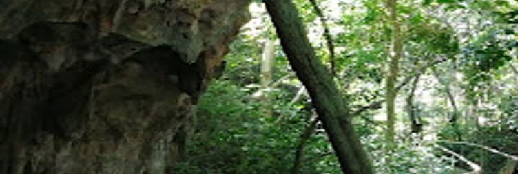 ዑደት በዓትታት ኪዌግዋ