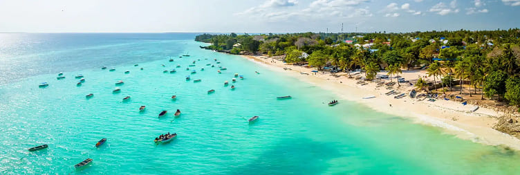 Dolphin Tour in Kizimkazi