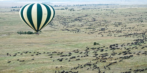 Safari di cư vĩ đại tầm trung Bắc Serengeti 11 ngày ở Tanzania và Kenya từ Zanzibar