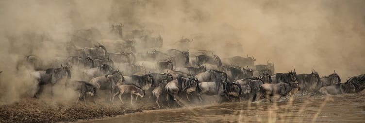 Serengeti National Park (Kogatende) - Serengeti National Park (Central)