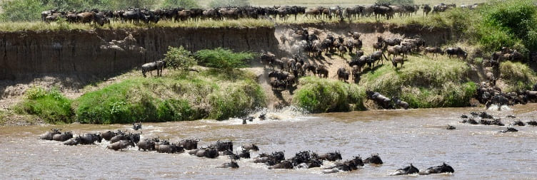 Western Serengeti National Park to North Serengeti National Park (Kogatende)