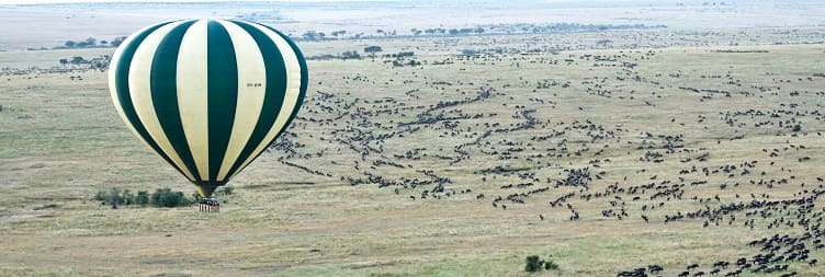 Full Day Game Drive Safari in North Serengeti National Park