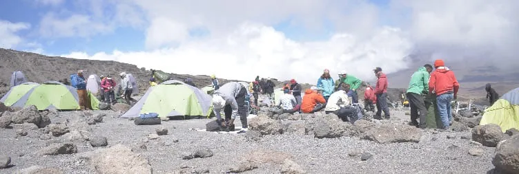 Mweka Camp to Mweka Gate and Return to Moshi