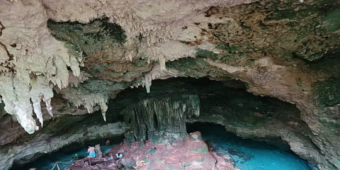 ザンジバル島ピングウェ発クザ洞窟半日プライベート旅行 (2026 - 2027)