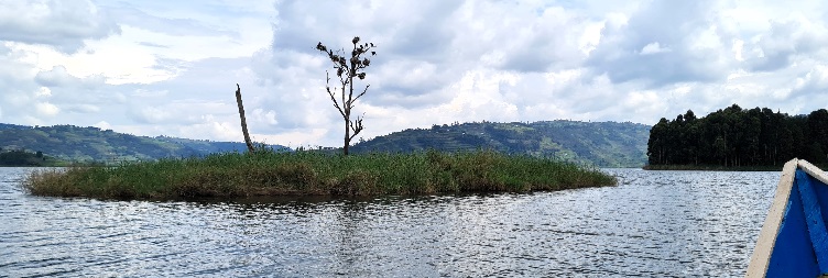 Transfer from Bwindi to Lake Bunyonyi Canoeing then to Kigali