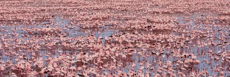 Mto wa Mbu to Lake Natron