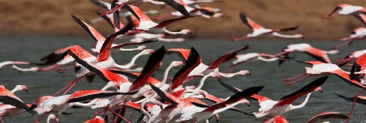 Mto wa Mbu to Lake Natron