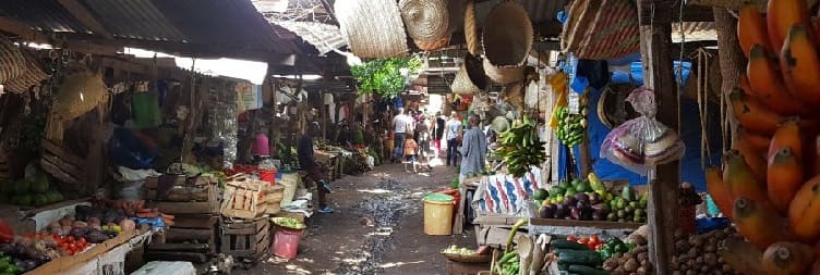 Mto Wa Mbu Market Tour
