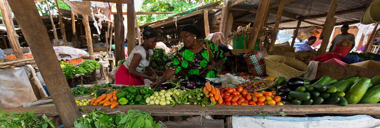 Local Market Tour in Mto Wa Mbu