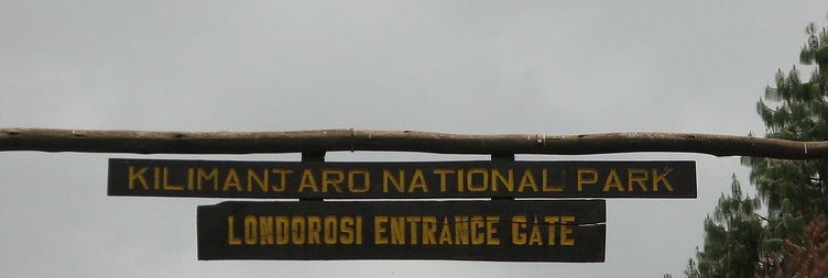 Londorossi Gate to Mti Mkubwa (Forest) Camp