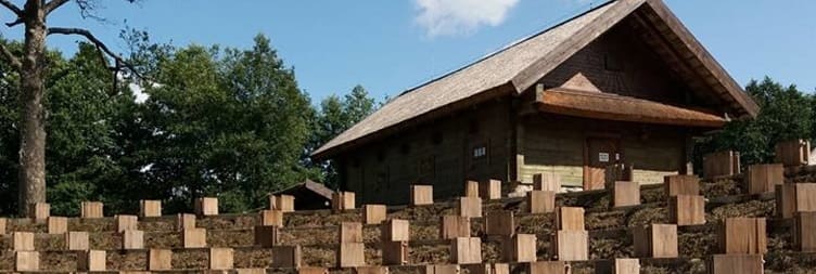 Приватна подорож до музею бджільництва Лушото