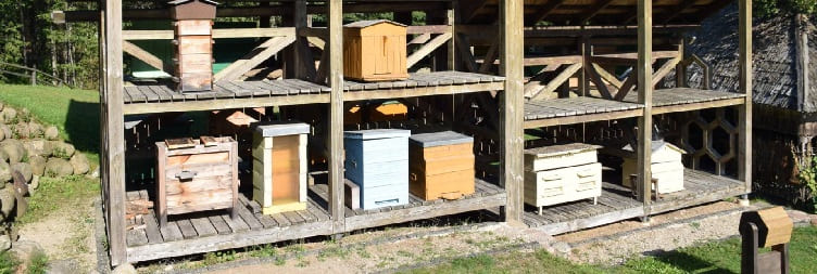 Private Lushoto Apiculture Museum Day Trip