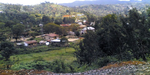 Taith Amgueddfa Gwenyna Lushoto Preifat 1 Diwrnod - Diwylliant Mêl a Phrofiad Cadw Gwenyn Lleol, Tanzania (2026 - 2027)