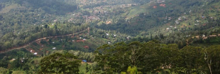 Morogoro to Kinole Forest & Return to Morogoro