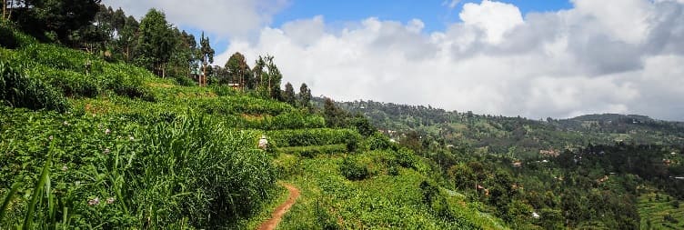 Arusha to Lushoto, Tanga