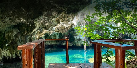 Zanzibar ရှိ Pingwe မှ နေ့တစ်ဝက်သီးသန့် Maalum သဘာဝလှိုဏ်ဂူရေကူးခရီးစဉ် (2026 - 2027)