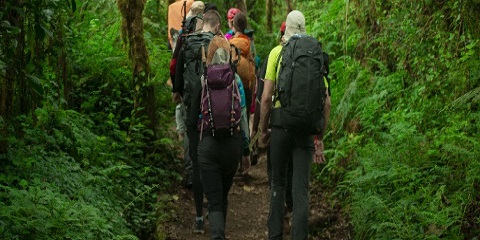 7 Days Budget Group Hiking via Machame Route from Moshi