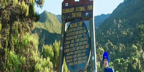 Excursió privada d'1 dia al Kilimanjaro per la ruta Machame des de Moshi, Tanzània (2026 - 2027)