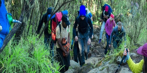 9 Day Group Luxury Machame Route Climbing Mt Kilimanjaro