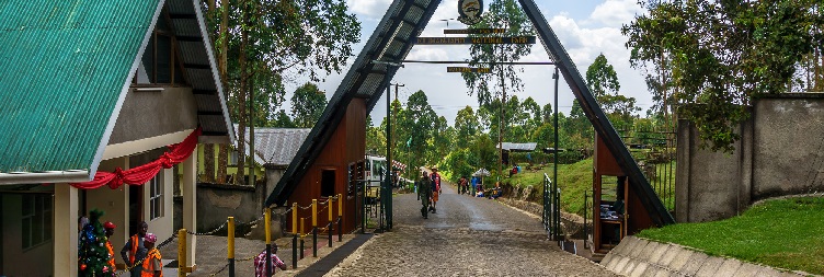 Machame Gate to Machame Camp