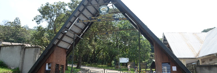 Horombo Huts to Machame Gate – Moshi