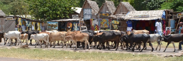 Културна турнеја Mto wa Mbu