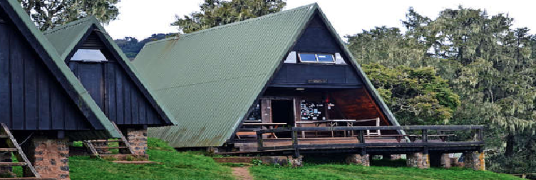 Moshi to Marangu Gate to Mandara Huts
