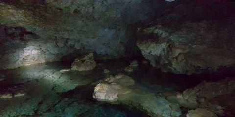 1-päevane privaatne Mangapwani korallikoopaekskursioon Mangapwanis, Sansibar