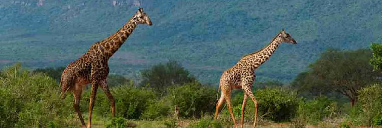 Maralal to Lake Nakuru National Park